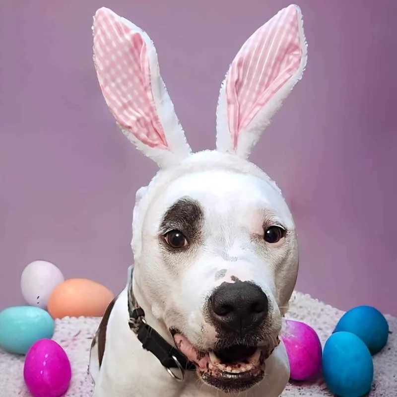 Penny Jo thumbnail 4