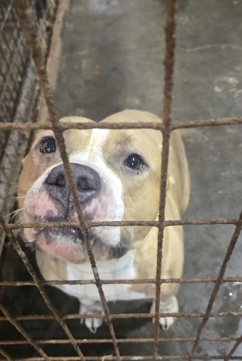 Grateful thumbnail 2