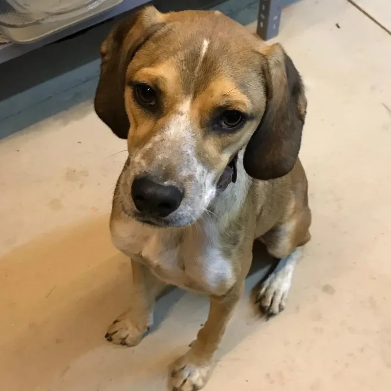 Mr. Happy Jezzy thumbnail 2