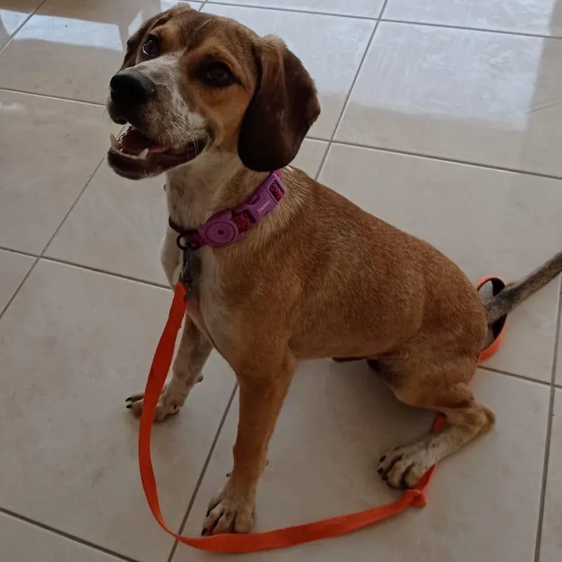 Mr. Happy Jezzy thumbnail 3