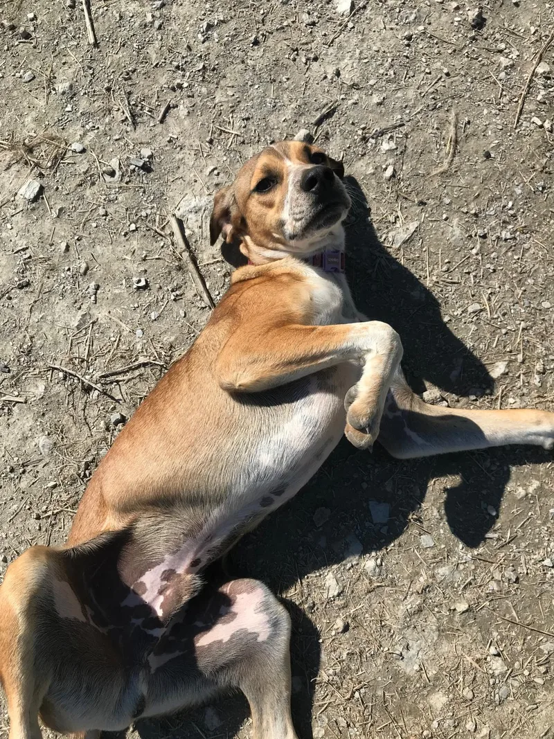 Mr. Happy Jezzy thumbnail 4