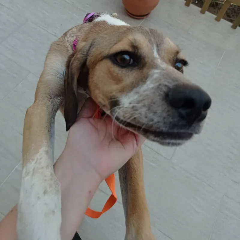 Mr. Happy Jezzy thumbnail 5