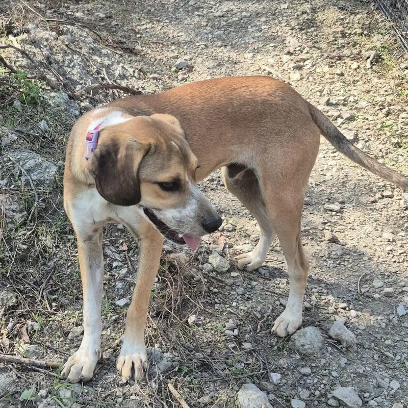 Mr. Happy Jezzy thumbnail 6