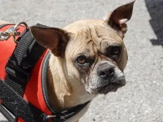 Lucy thumbnail 2