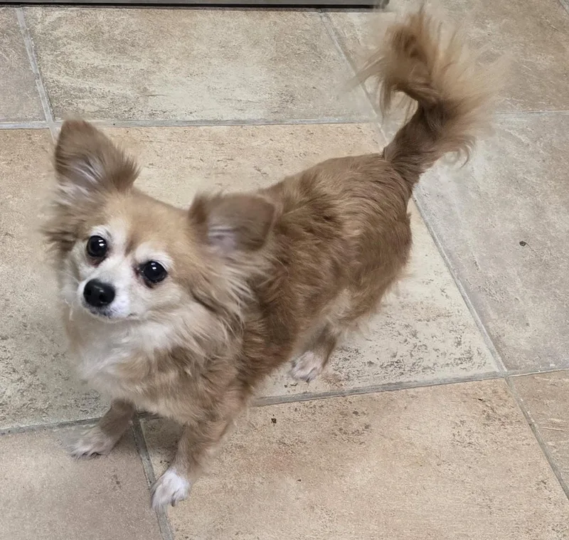 Thelma & Louise thumbnail 2