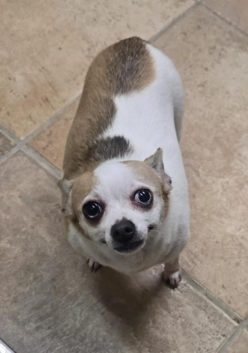 Thelma & Louise thumbnail 3