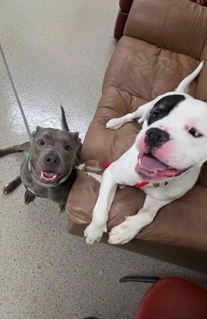 Trudy Judy thumbnail 2