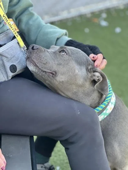 Trudy Judy thumbnail 3