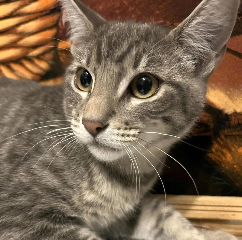 Claude Monet thumbnail 2