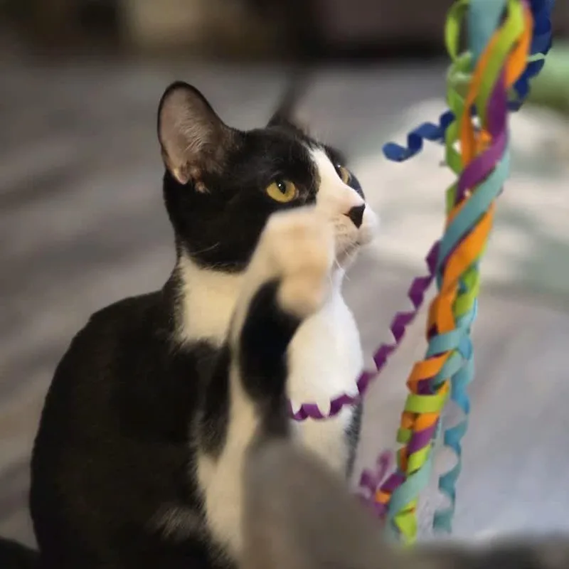 Billy Bob thumbnail 2