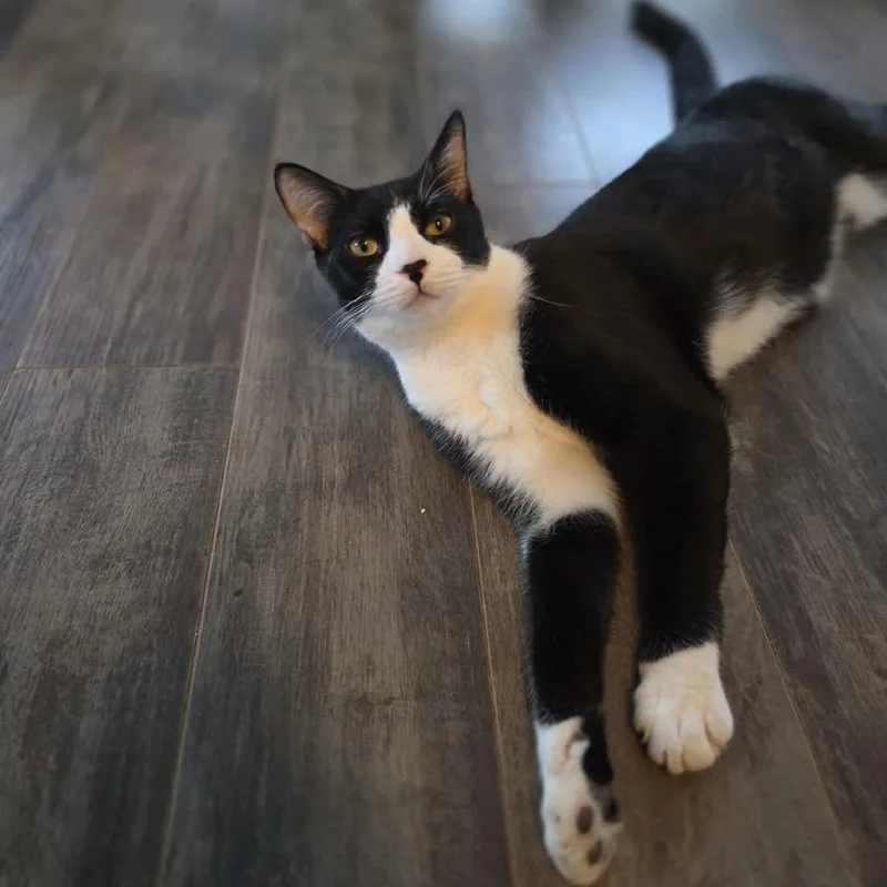 Billy Bob thumbnail 5