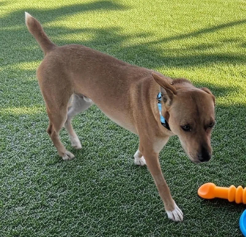 Hugoplayful Yo Guy! thumbnail 2