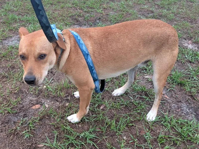 Hugoplayful Yo Guy! thumbnail 3