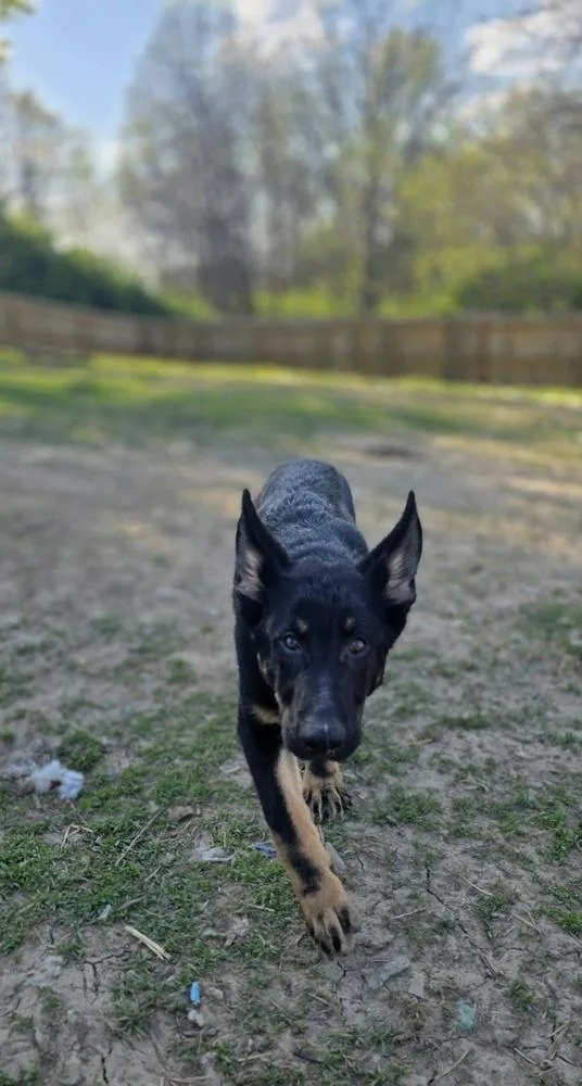 Loki Cool thumbnail 2