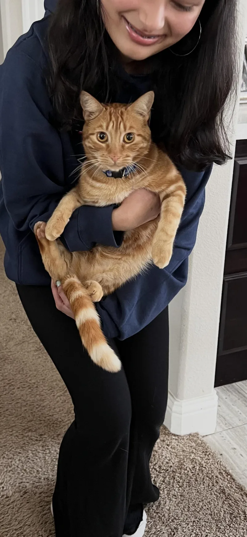 Simba thumbnail 2