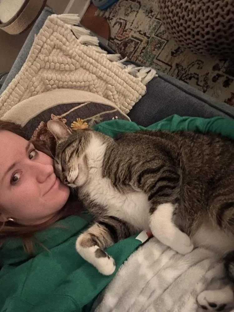 Rainbow Dash thumbnail 2