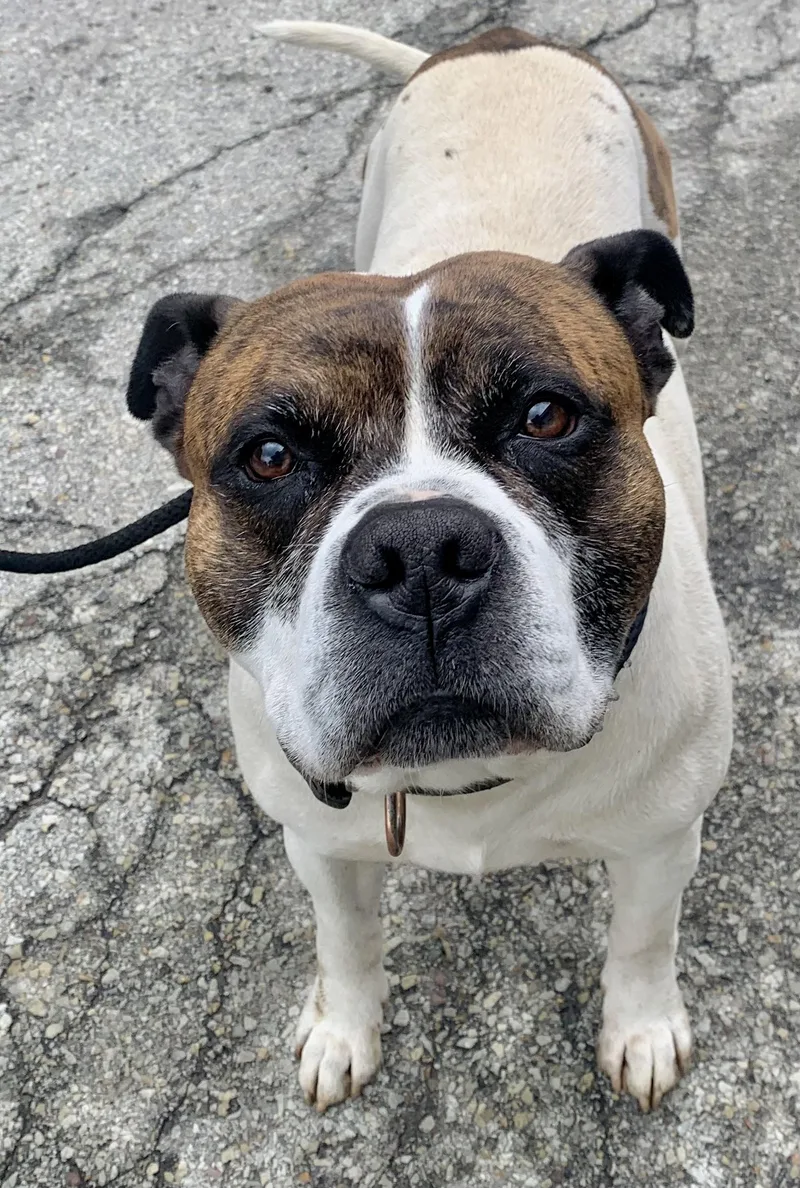 Gus