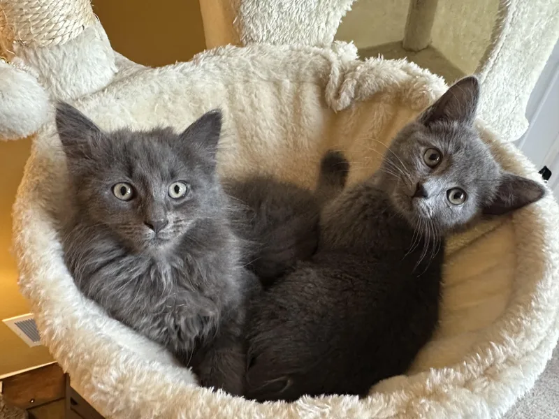 Sam & Colby thumbnail 2