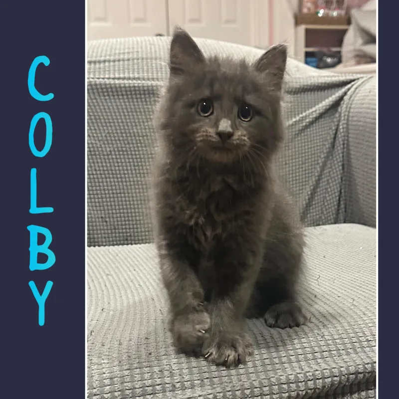 Sam & Colby thumbnail 3