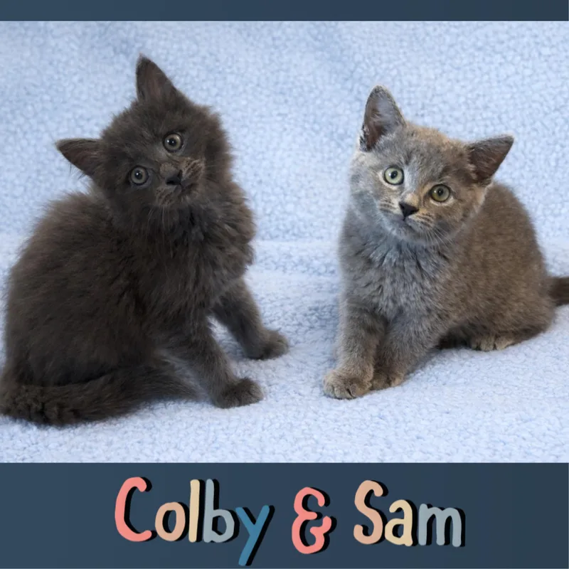 Sam & Colby thumbnail 4