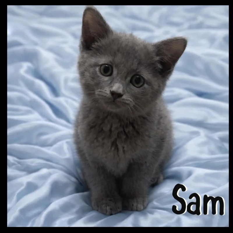 Sam & Colby thumbnail 5