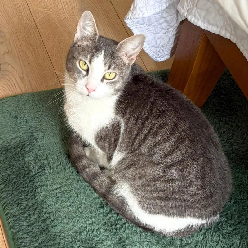 Interloper thumbnail 2