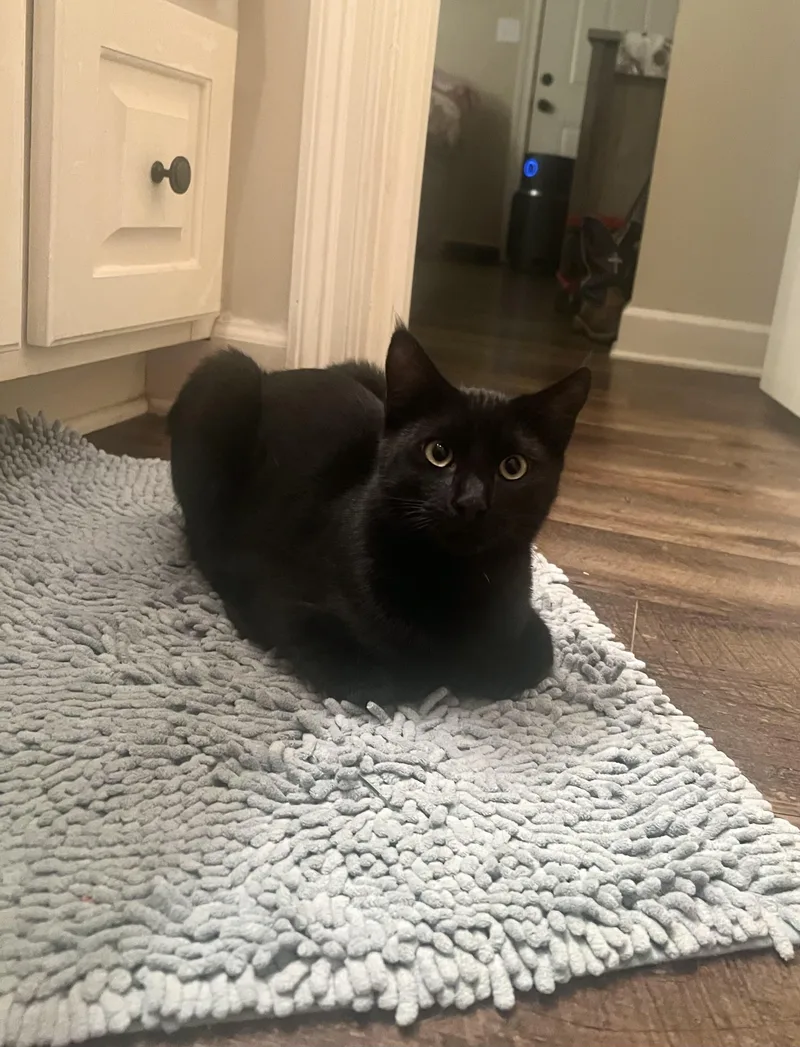 Joey Tribbiani thumbnail 2