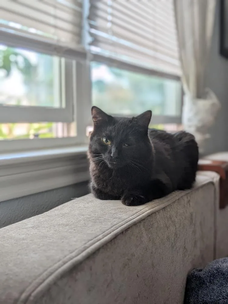 Big Mike thumbnail 3