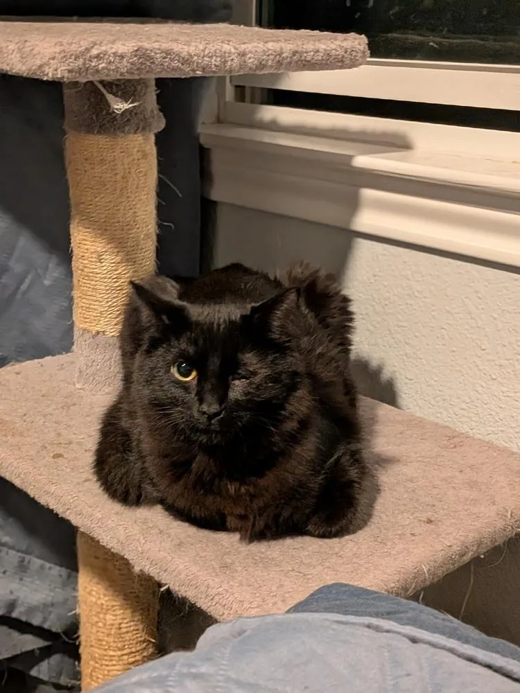 Big Mike thumbnail 4