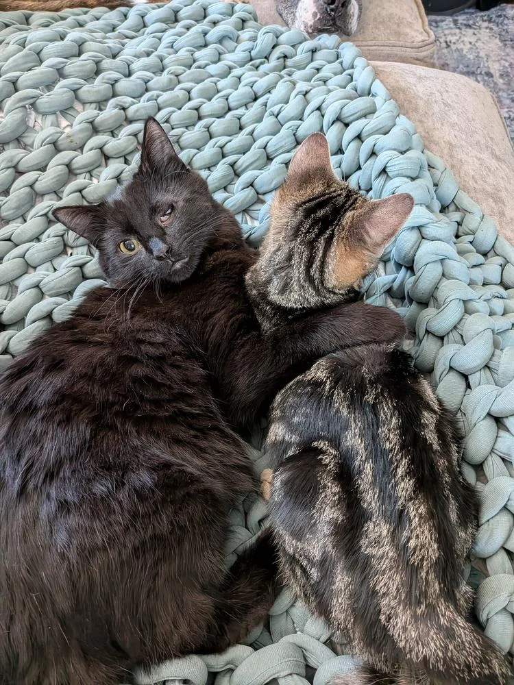 Big Mike thumbnail 6