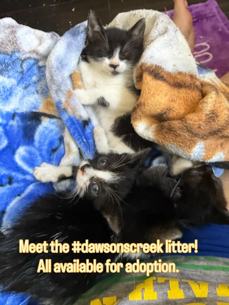 Jen Lindley & Jack thumbnail 2