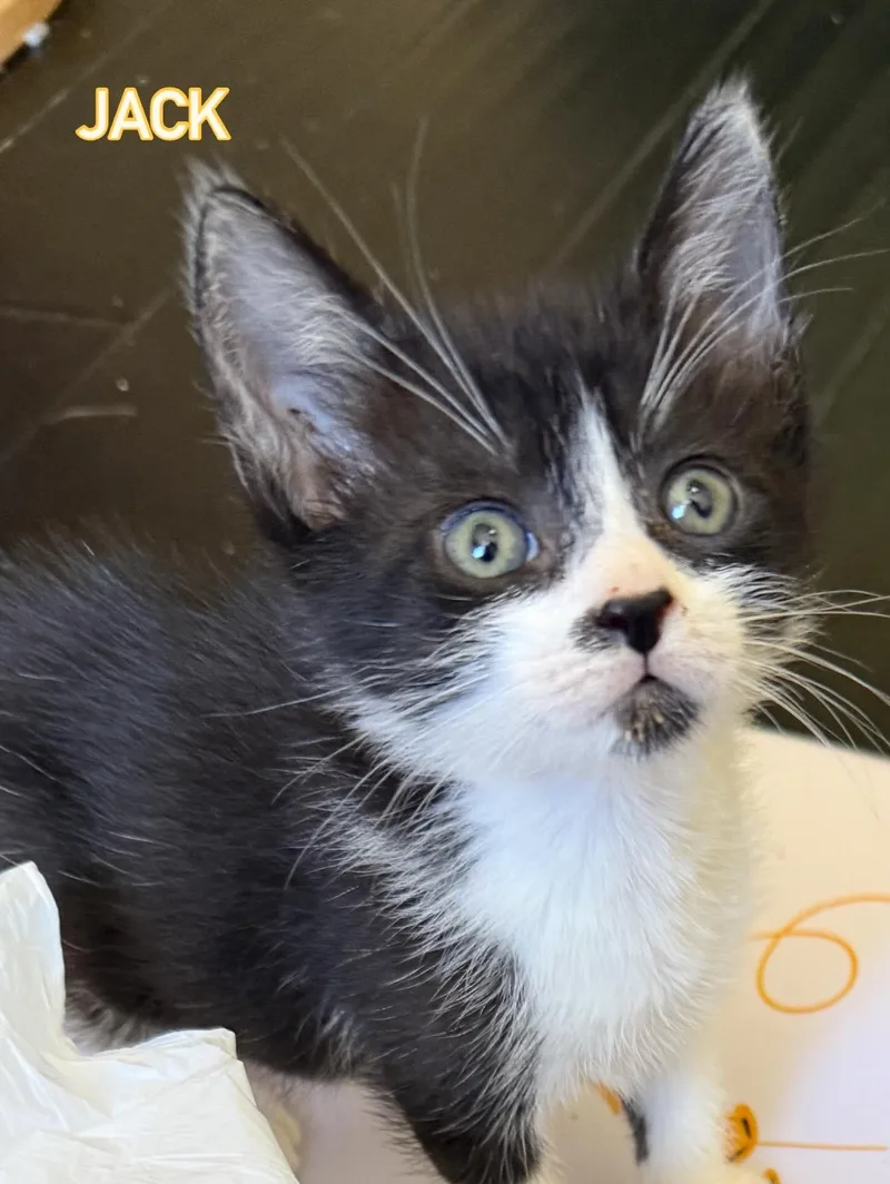 Jen Lindley & Jack thumbnail 3