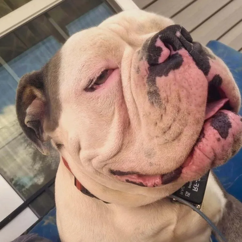 Waylon thumbnail 3