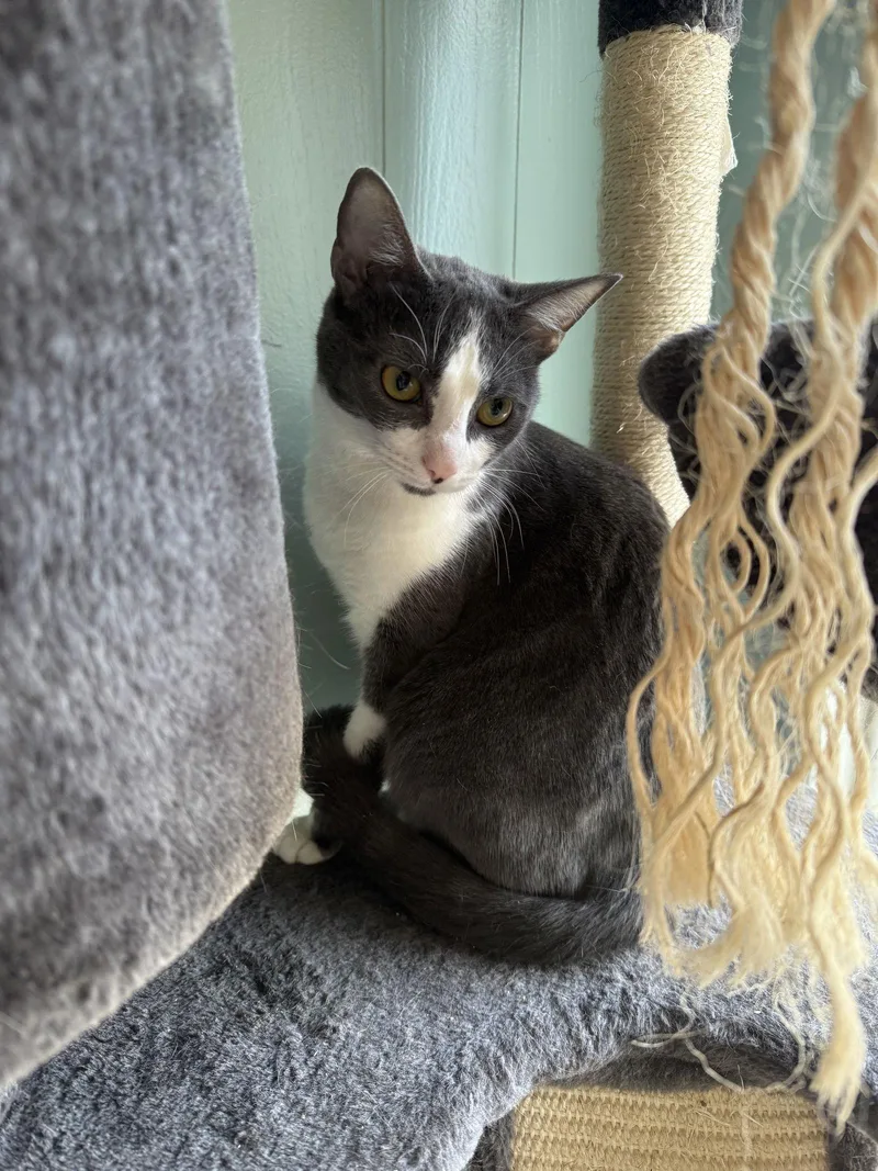 Baby Spice thumbnail 2