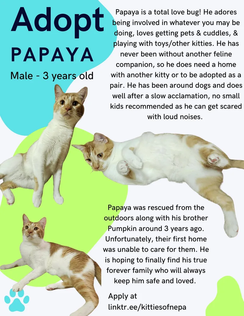 Papaya thumbnail 4