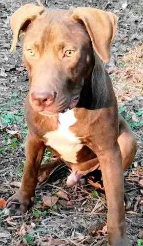 Wish Bone thumbnail 6