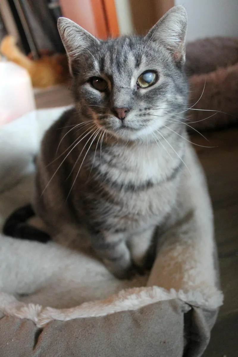 Sweet Girl thumbnail 2