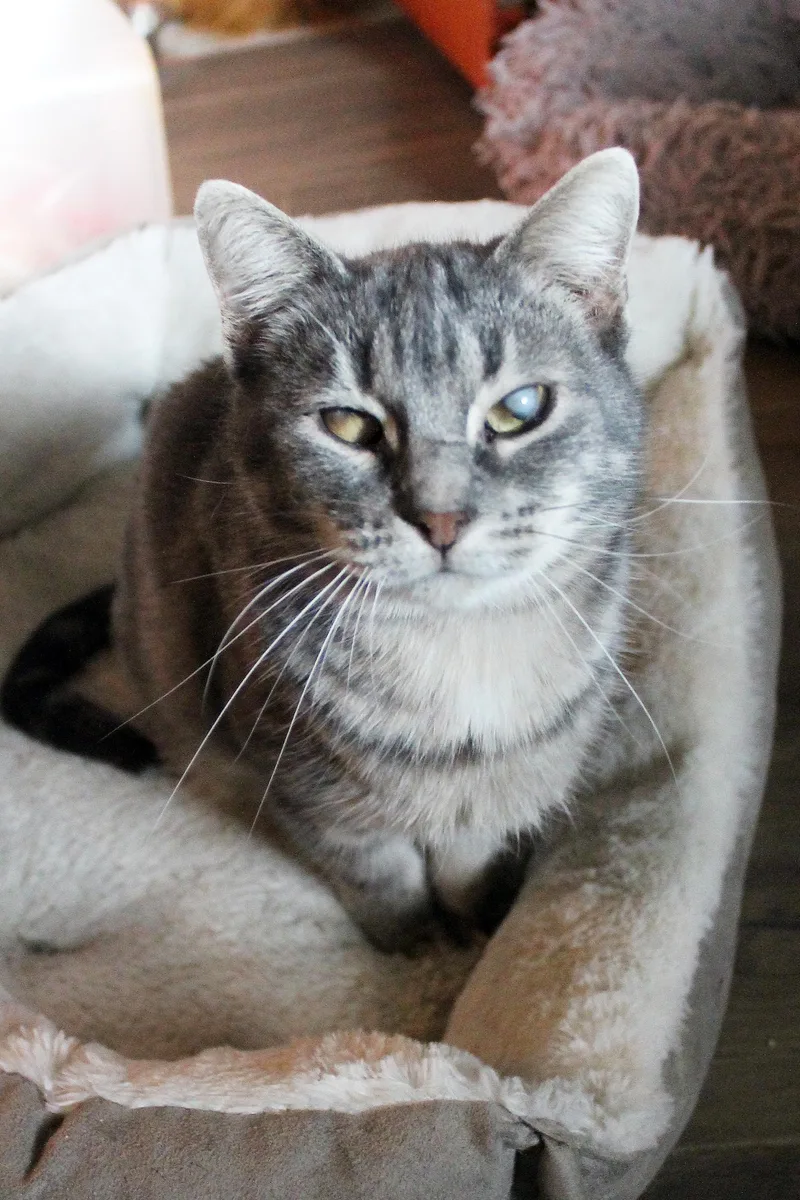 Sweet Girl thumbnail 6