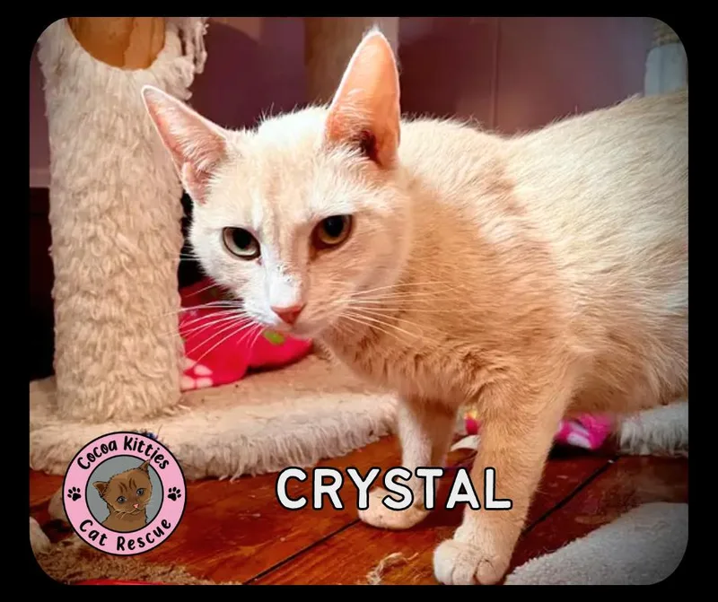 Crystal thumbnail 5