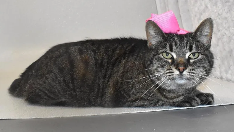 Daisy Mae thumbnail 2