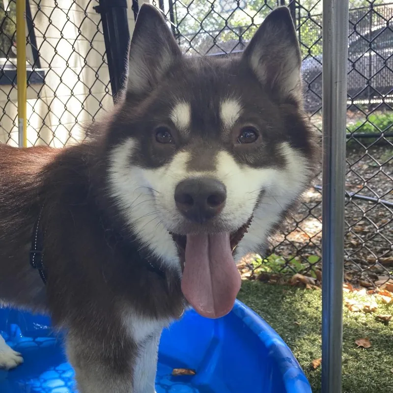 Antonio thumbnail 5