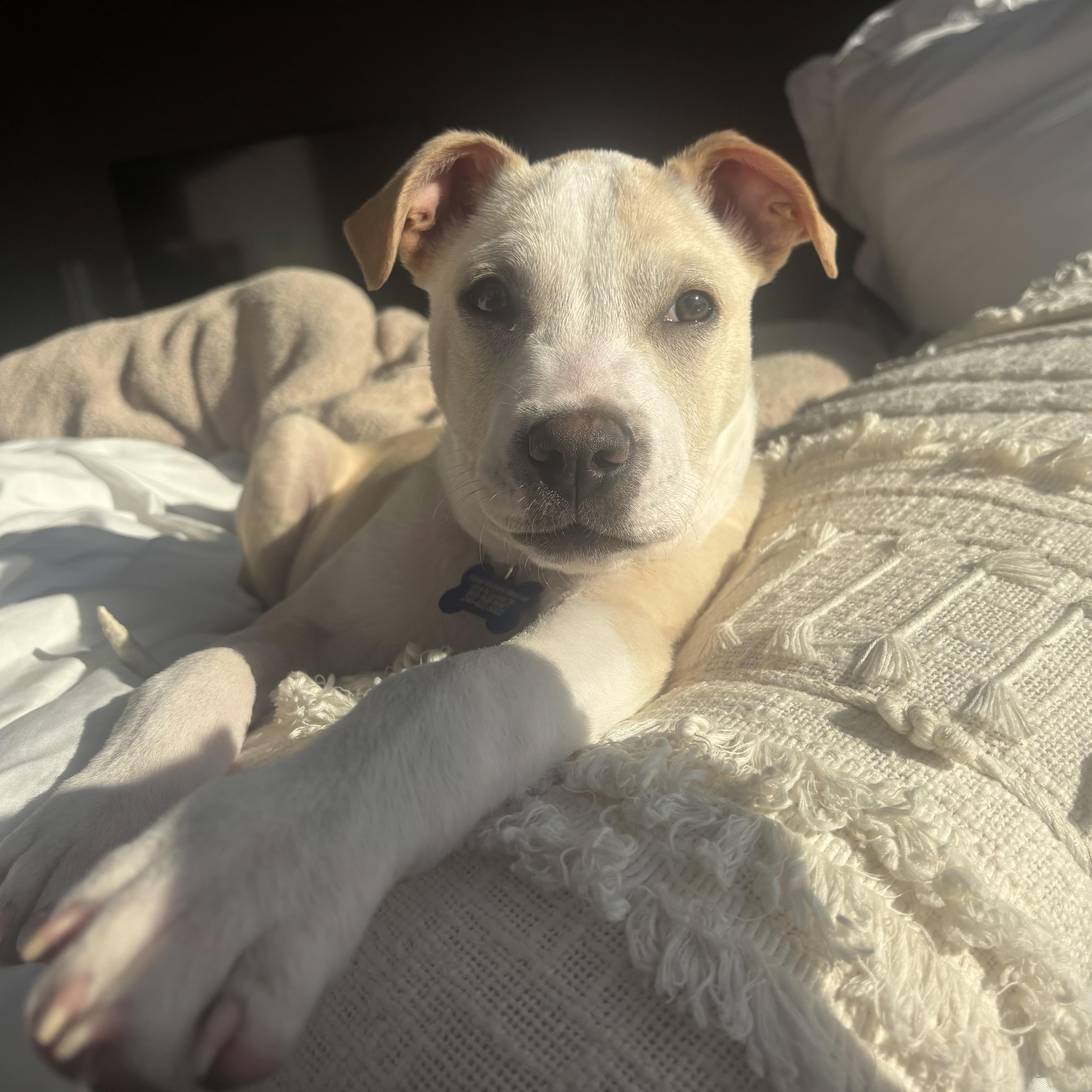 Kingsman thumbnail 2