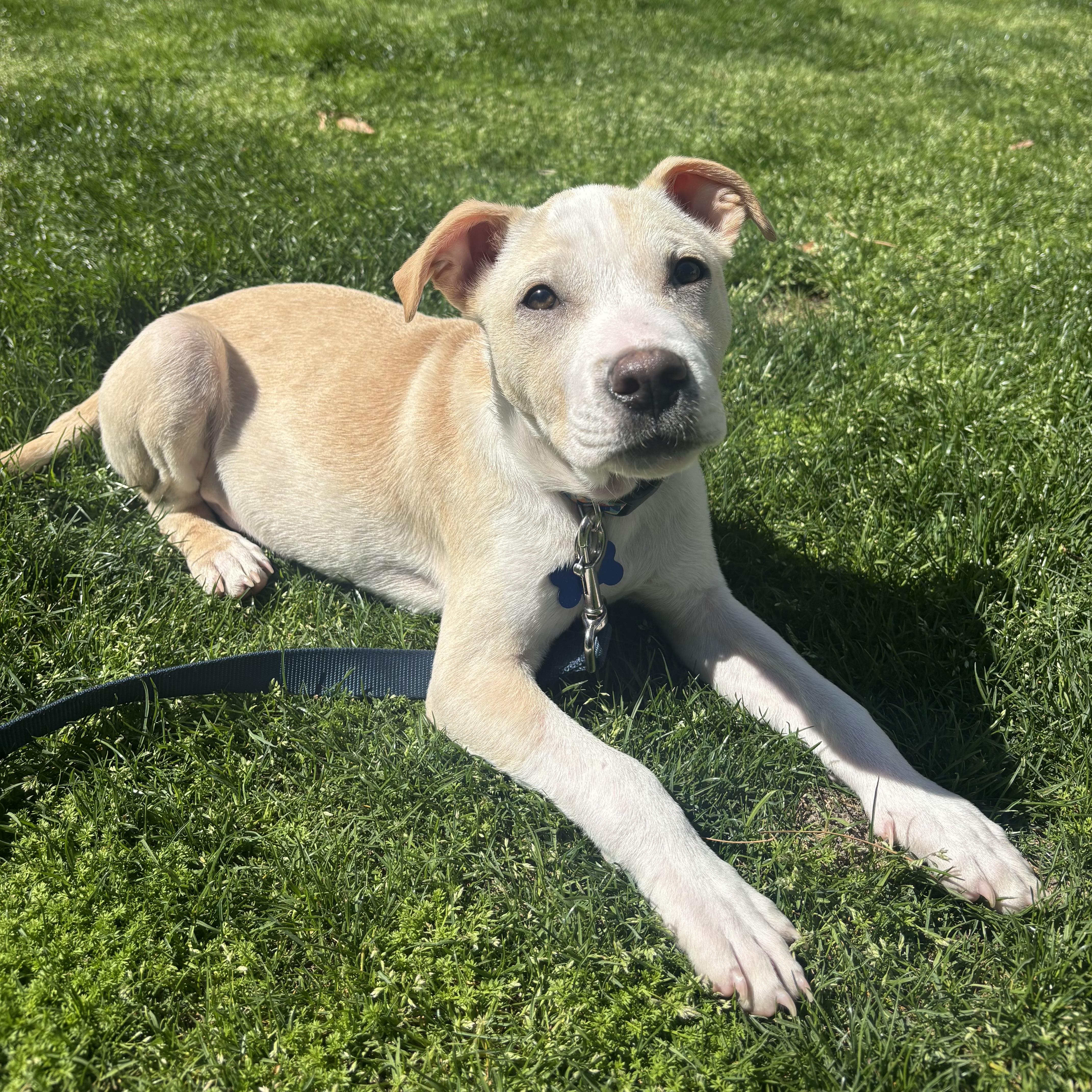 Kingsman thumbnail 6