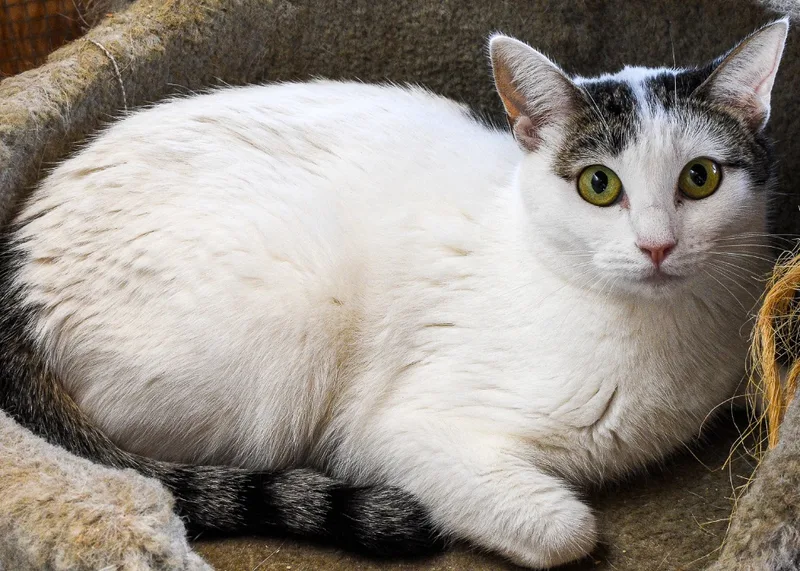 Kelly Rita thumbnail 2