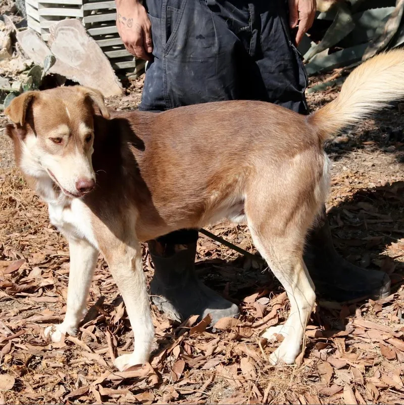 Ruben Jum thumbnail 4