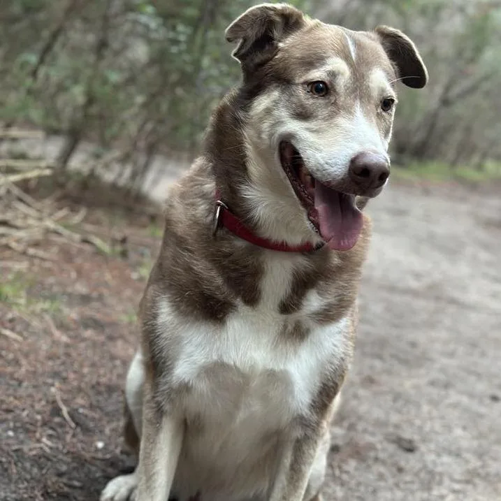 Ruben Jum thumbnail 5