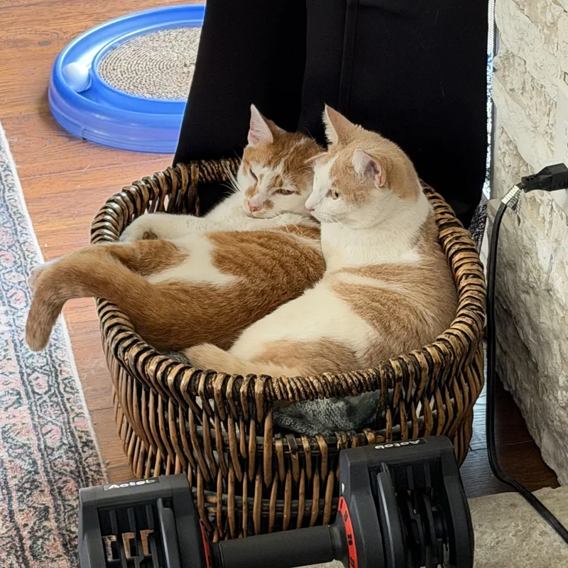 Woody & Bunny thumbnail 2