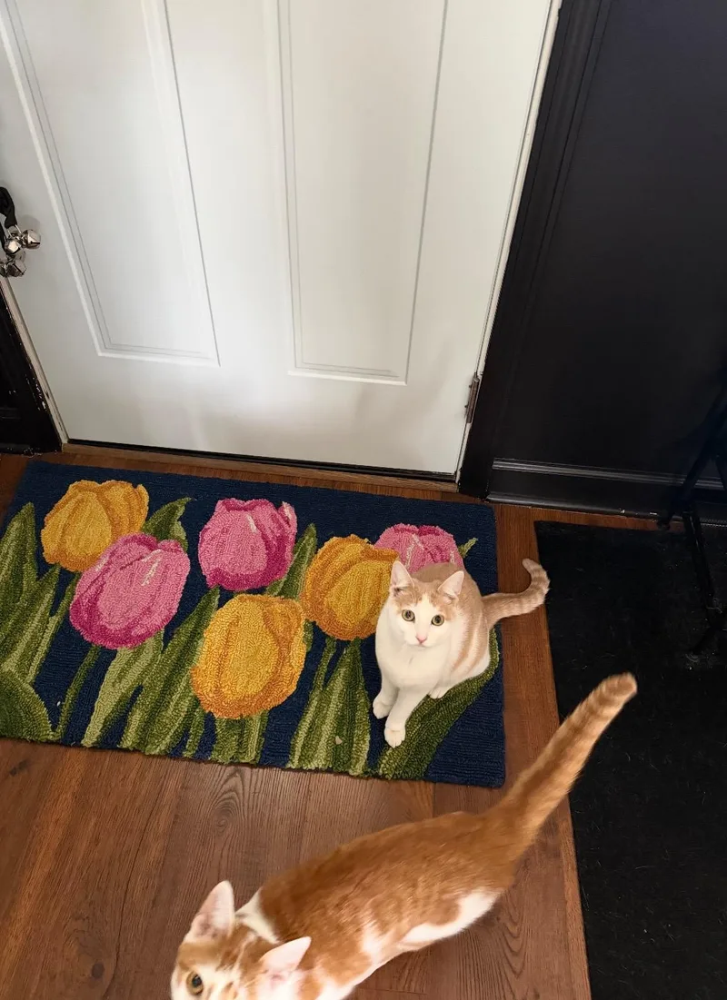 Woody & Bunny thumbnail 4