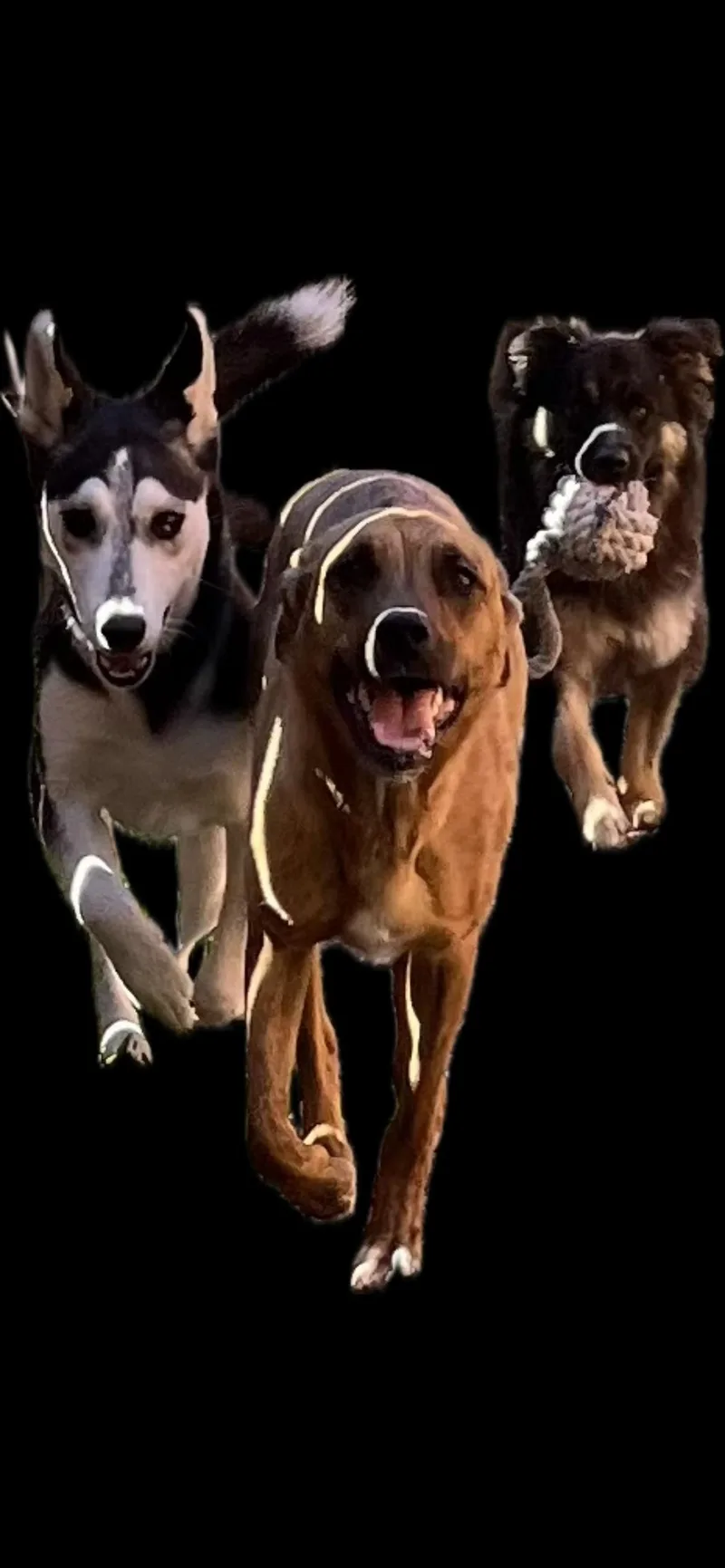 Winnie thumbnail 4