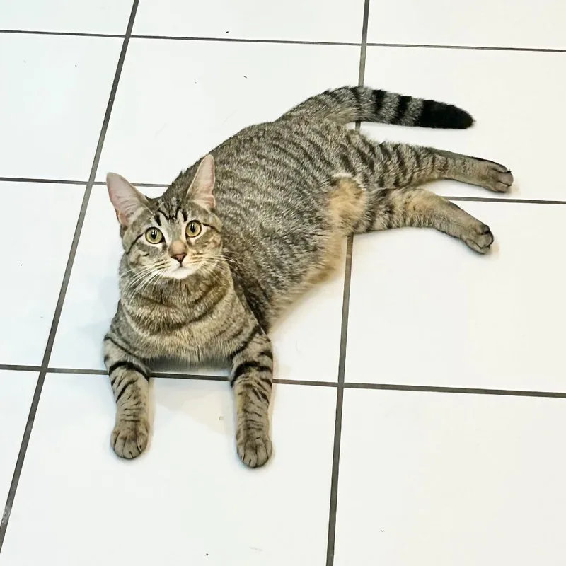 Georgina thumbnail 2